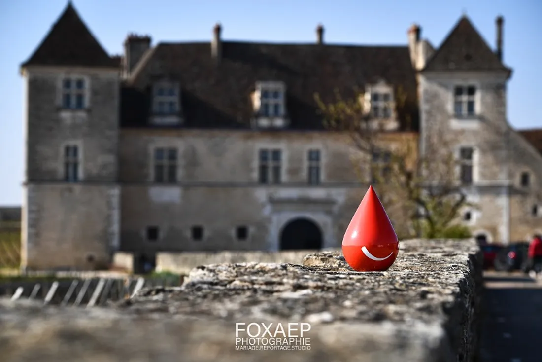 Une nouvelle opération de don de sang est prévue pour le 27 mai au château du Clos de Vougeot